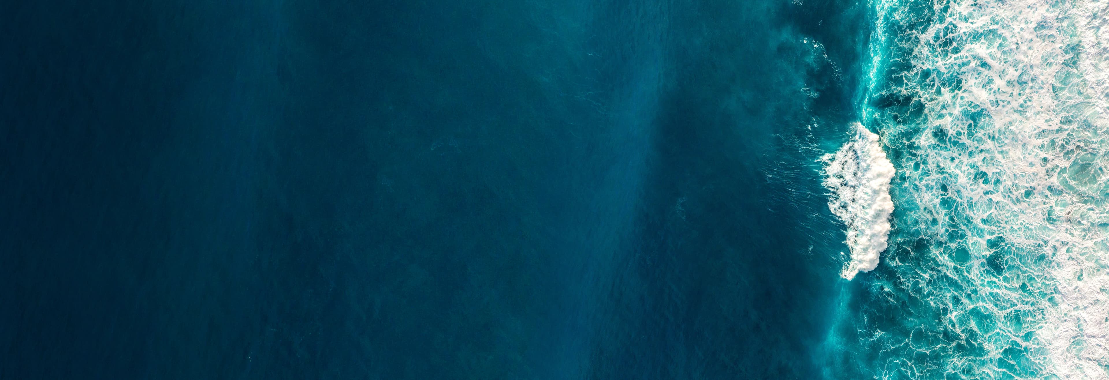 Marine Image