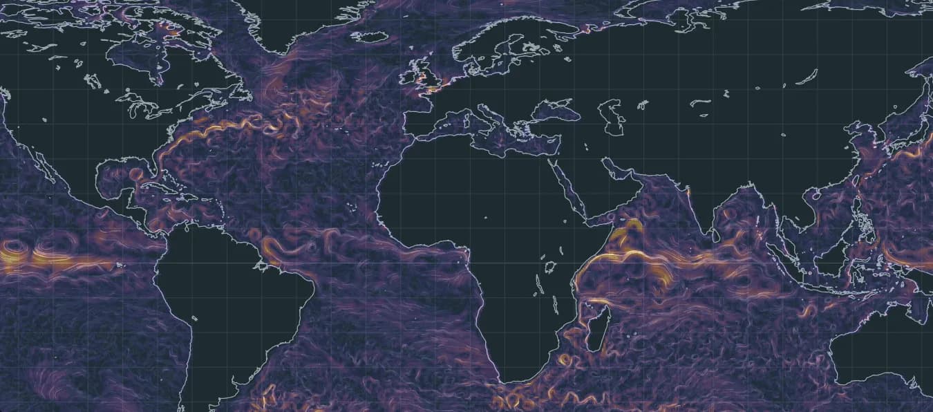 Marine Image