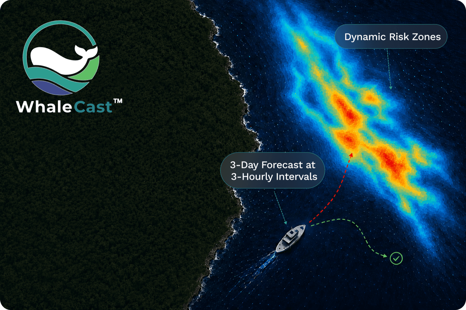 WhaleCast forecast showing dynamic whale risk zones and a vessel rerouting around them, with 3-day forecasts at 3-hourly intervals