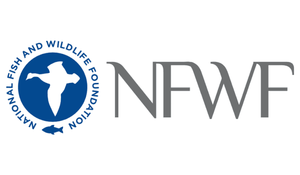 National Fish and Wildlife Foundation logo